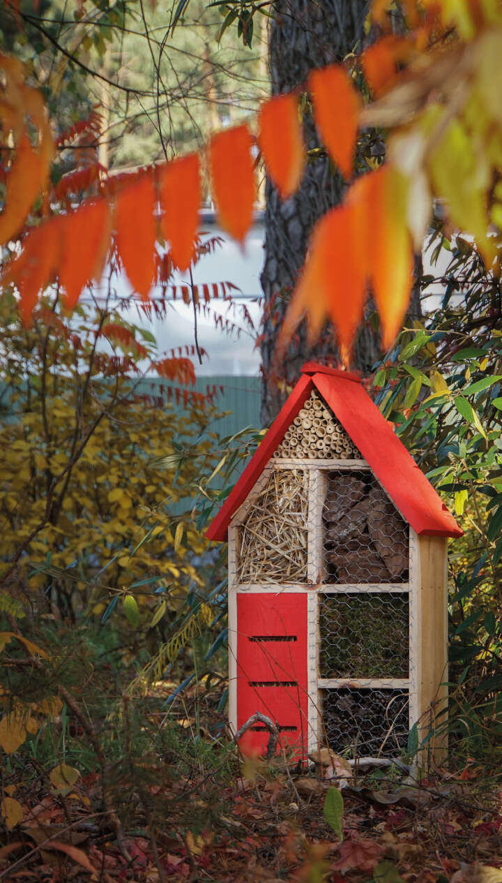 Insektenhotel mit rotem Dach Insektenhotel mit rotem Dach
